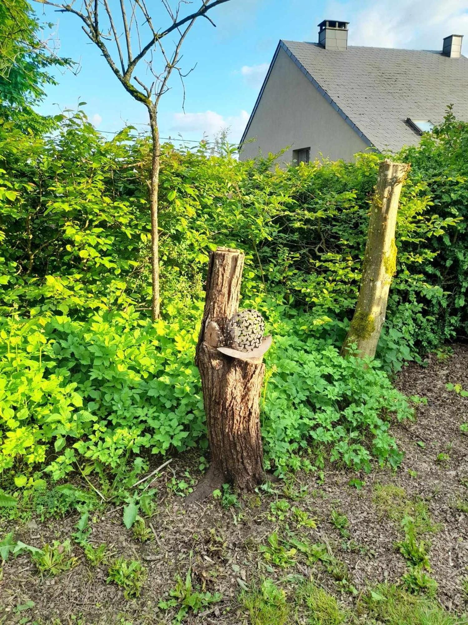 Ferienhaus Le Cerf Volant